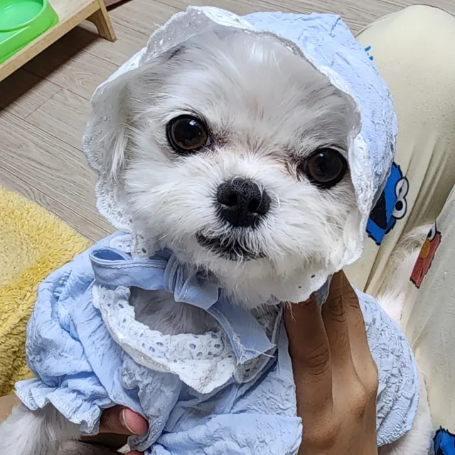 벼리바리