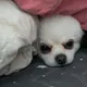 달그락달그락