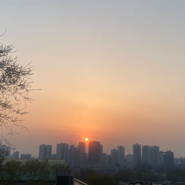 맹어오