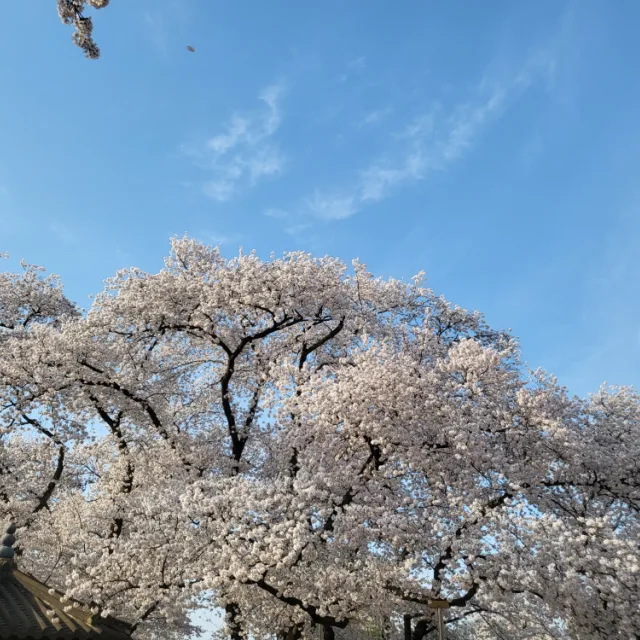 에쿵