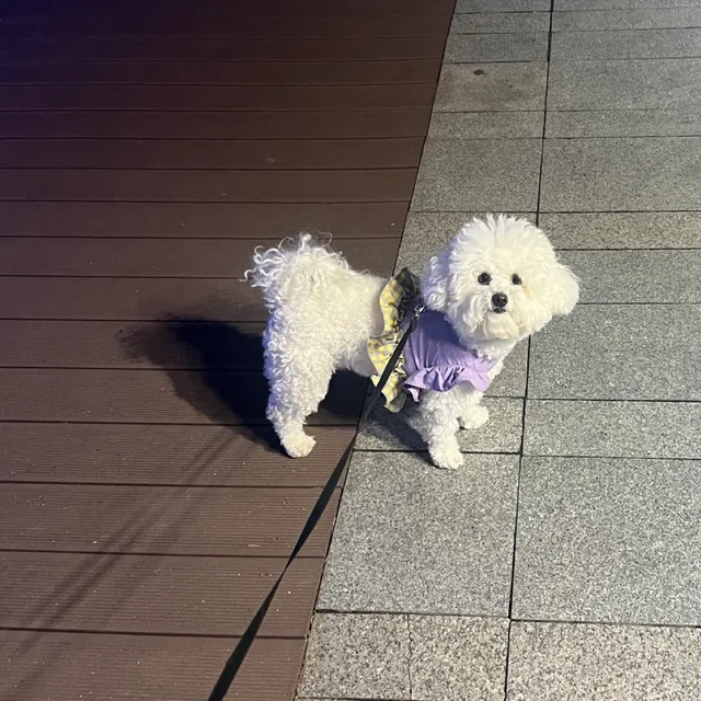 썬탑