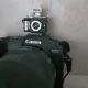 샬롬군