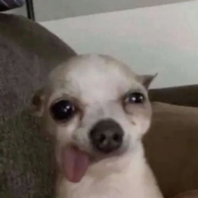 닮은살걀