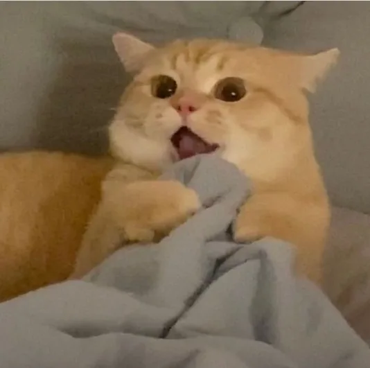 가가
