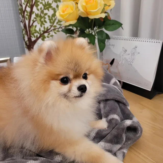 봄이다