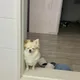 루루