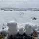 서공