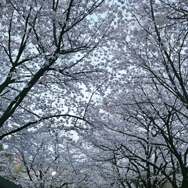 보석