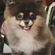 후추후추팍팍