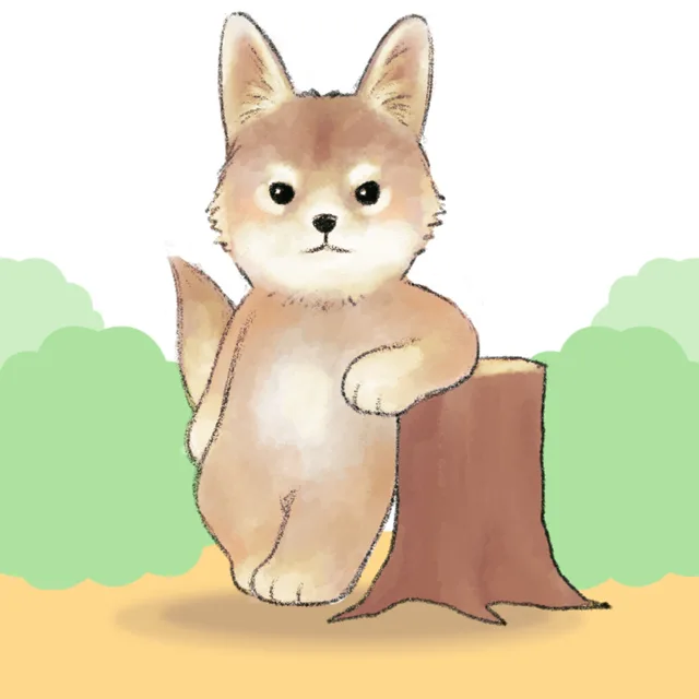 지지슈