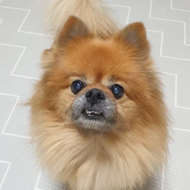 토토맘