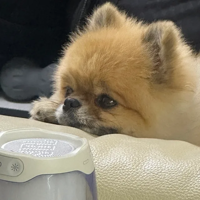 ru