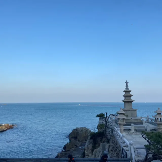 귀염도담맘