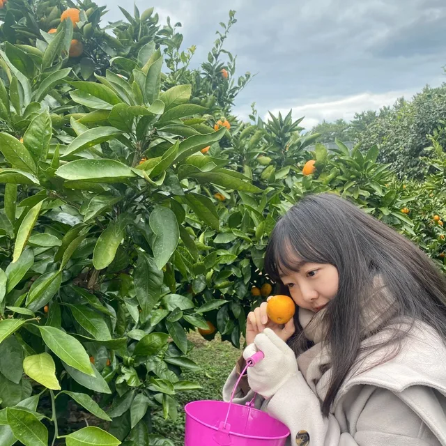 예링랑롱