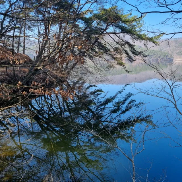 겨울이가면