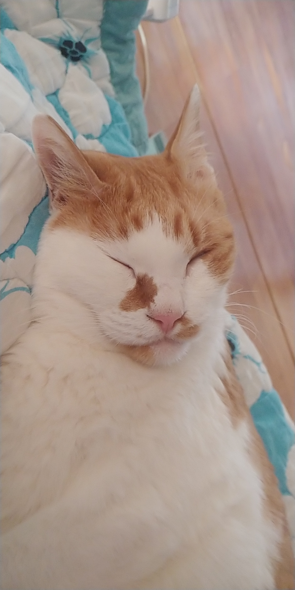 김루루