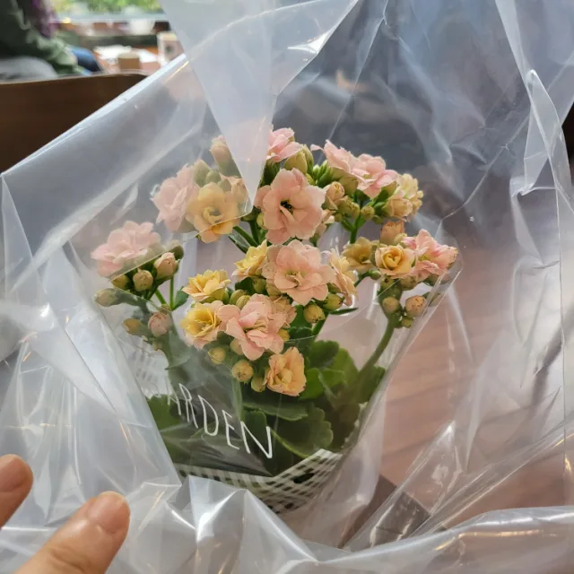 써니