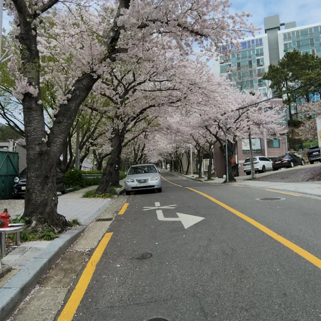 사람답게