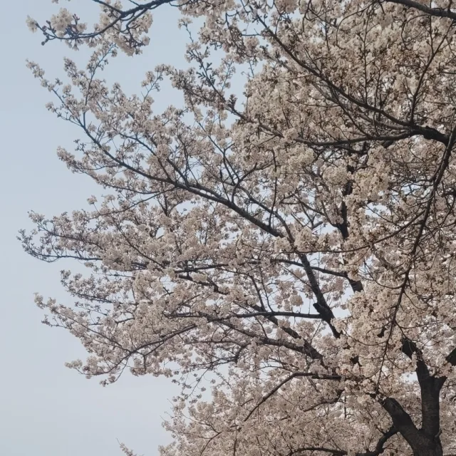 뿡뿡이