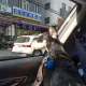 짝퉁도베르만