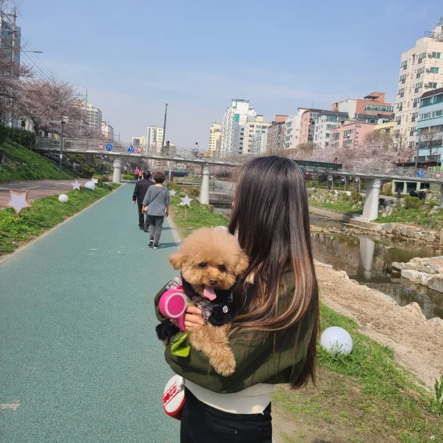 향기