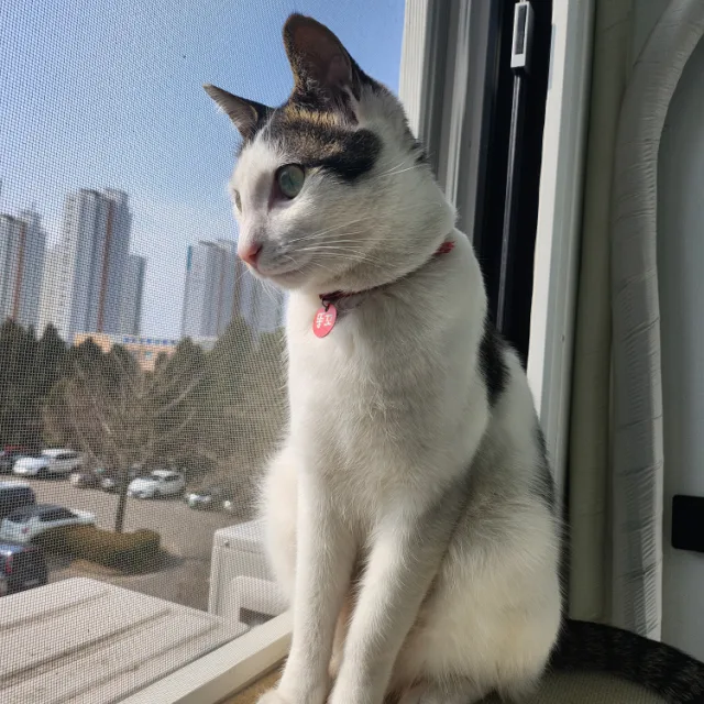 주라