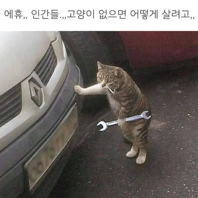 베크
