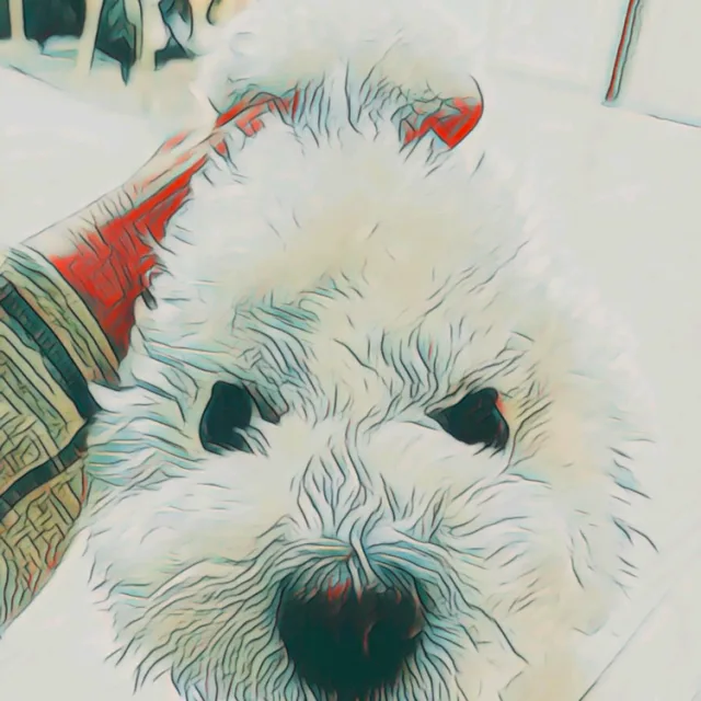 디오