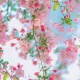 뱃짱공주