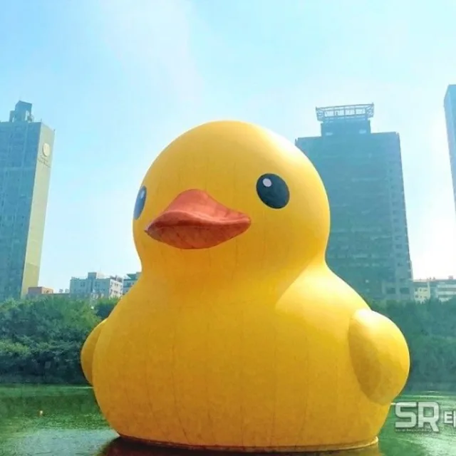 오리꽥꽥
