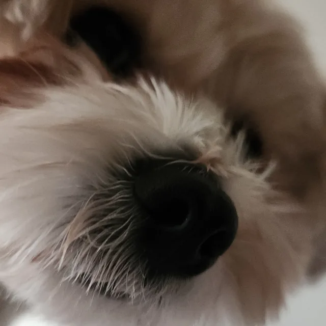 행성