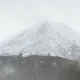 지지