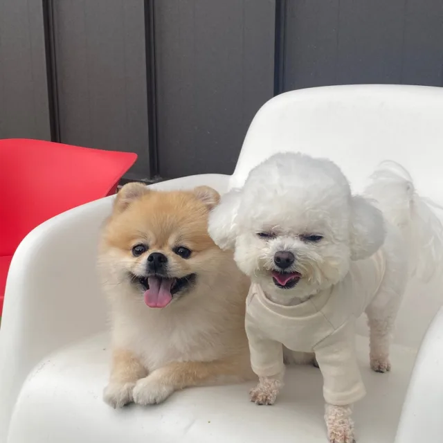 여누