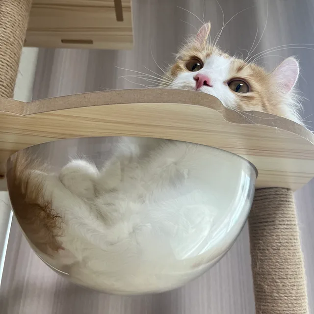 뽀또오오옹