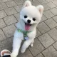 당근당근