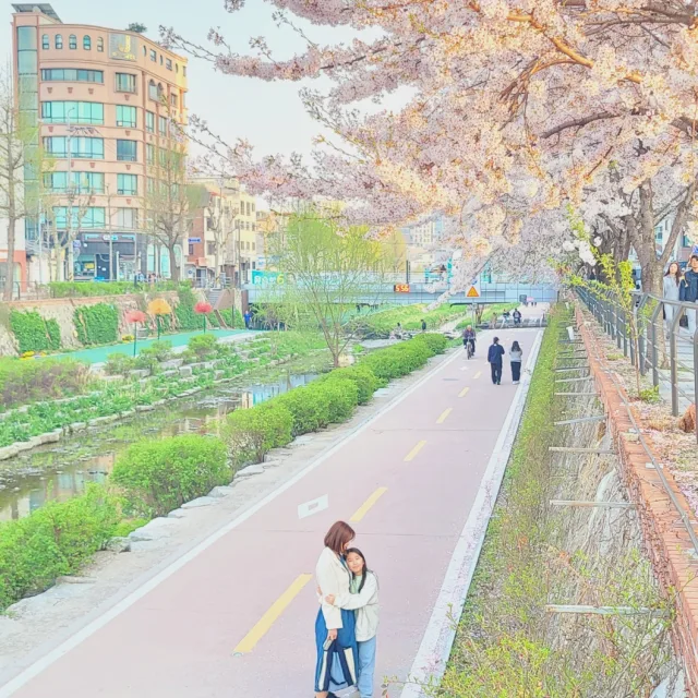 정이떴어요