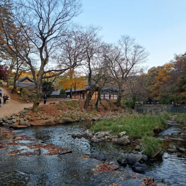 별이네