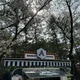 당근에뜬별