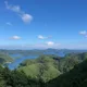 하심