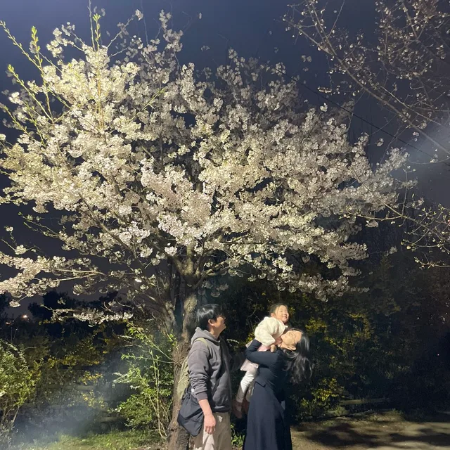 강잠마