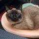 빔쓰