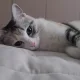 김해좋은