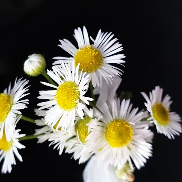 이상한상상