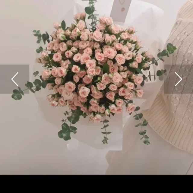 프리지아