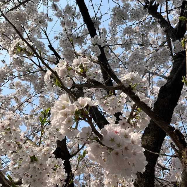 보물담기
