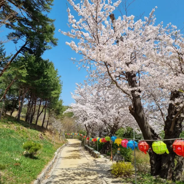 반짝이는율