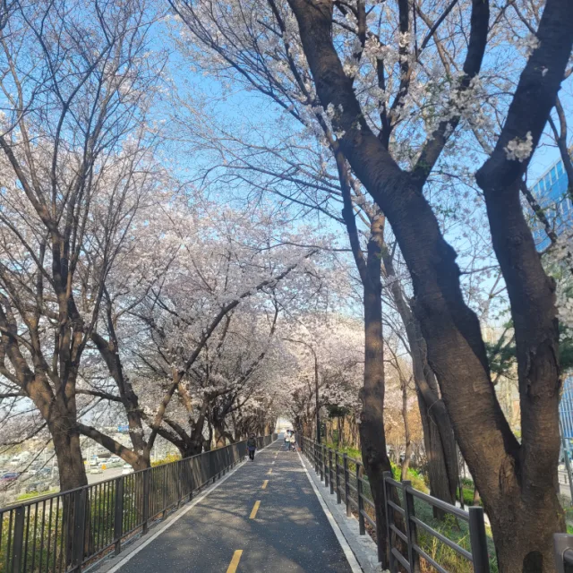 당근좋아