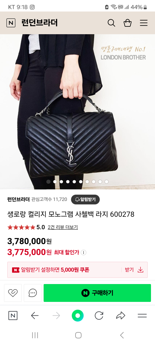 강릉포비