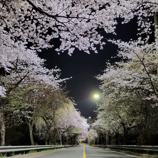 윈윈