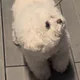 행복한하루